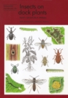 Insects on dock plants - Book