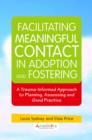 Facilitating Meaningful Contact in Adoption and Fostering : A Trauma-Informed Approach to Planning, Assessing and Good Practice - eBook