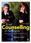 Brief Counselling in Schools : Working with Young People from 11 to 18 - Book