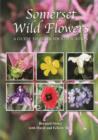 Somerset Wild Flowers : A Guide to Their Identification - Book