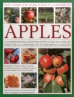 The Complete World Encyclopedia of Apples : A Comprehensive Identification Guide to Over 400 Varieties Accompanied by 95 Scrumptious Recipes - Book