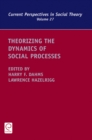 Theorizing the Dynamics of Social Processes - eBook