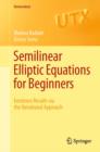 Semilinear Elliptic Equations for Beginners : Existence Results via the Variational Approach - eBook