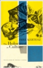 The Holocaust as Culture - Book