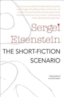 The Short-Fiction Scenario - Book
