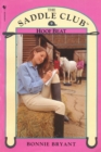 Saddle Club Book 9: Hoof Beat - Book