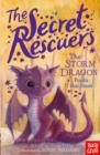 The Secret Rescuers: The Storm Dragon - Book
