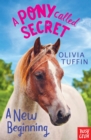 A Pony Called Secret: A New Beginning - eBook