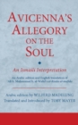 Avicenna's Allegory on the Soul : An Ismaili Interpretation - eBook