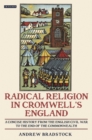 Radical Religion in Cromwell's England : A Concise History from the English Civil War to the End of the Commonwealth - eBook
