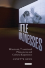 Little Madnesses : Winnicott, Transitional Phenomena and Cultural Experience - eBook