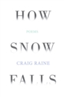 How Snow Falls - eBook