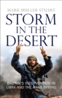 Storm in the Desert : Britain’s intervention in Libya and the Arab Spring - eBook