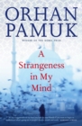 Strangeness in My Mind - eBook