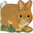 Pocket Bunny - Book