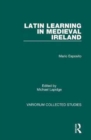Latin Learning in Medieval Ireland - Book