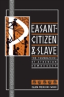 Peasant-Citizen and Slave : The Foundations of Athenian Democracy - Book