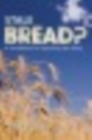 Stale Bread? : A Handbook for Speaking the Story - eBook