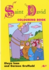 Welsh Heroes Colouring Book - Saint David - Book