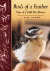 Birds of a Feather : Tales of a Wild Bird Haven - Book