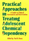 Practical Approaches in Treating Adolescent Chemical Dependency : A Guide to Clinical Assessment and Intervention - Book