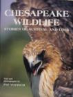 Chesapeake Wildlife : Stories of Survival and Loss - Book