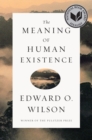 The Meaning of Human Existence - Book