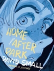 Home After Dark : A Novel - Book