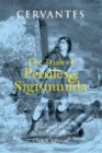 The Trials of Persiles and Sigismunda : A Northern Story - Book