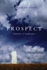 Prospect - Book