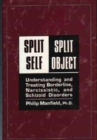 Split Self/Split Object : Understanding and Treating Borderline, Narcissistic and Schizoid Disorders - Book