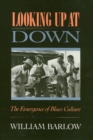 Looking Up at Down : The Emergence of Blues Culture - Book