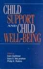 Child Support and Child Well-being - Book