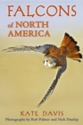 Falcons of North America - eBook