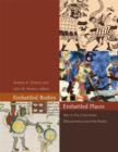 Embattled Bodies, Embattled Places : War in Pre-Columbian Mesoamerica and the Andes - Book