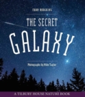 The Secret Galaxy - Book