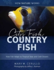 City Fish Country Fish : How Fish Adapt to Tropical Seas and Cold Oceans - Book