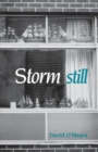 Storm Still - Book