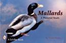 Mallards : A Pictorial Study - Book