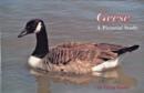 Geese : A Pictorial Study - Book