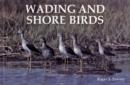 Wading and Shore Birds : A Photographic Study - Book