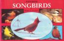 Favorite Songbirds - Book