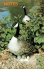 Note Book Canada Geese - Book