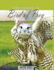 Understanding the Bird of Prey - Book