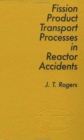 Fission Product Processes In Reactor Accidents - Book