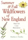 Summer & Fall Wildflowers of New England - Book