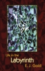 Life in the Labyrinth - Book
