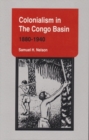 Colonialism in the Congo Basin, 1880-1940 - Book