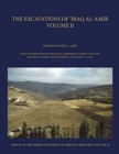 The Excavations of 'Iraq al-Amir : Volume II - Book