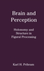 Brain and Perception : Holonomy and Structure in Figural Processing - Book